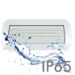 4W LED Notlicht Decke + Option + Kit Dauerlicht - IP65