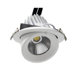 LED Strahler Einbau schwenkbar 25W 24º - CCT - Wählbare Farbe