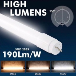 PACK 10 - LED Röhre Glas - 20W PRO - 120cm T8 - 170 Lm/W - PRO MAX LUMENS - 3400Lm - NO FLICK
