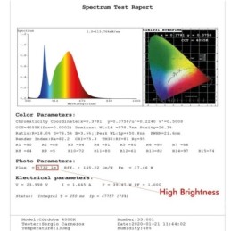 Linearlampe Pendelleuchte LED - CARMEN Tomatenrot - 0,5 m - 1m - 1,5m - 2m