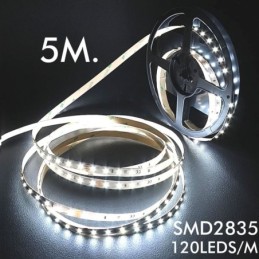 LED Streifen 24V | 120xLED/m | 5m | SMD2835 | 1560Lm | 10W/M | IP20