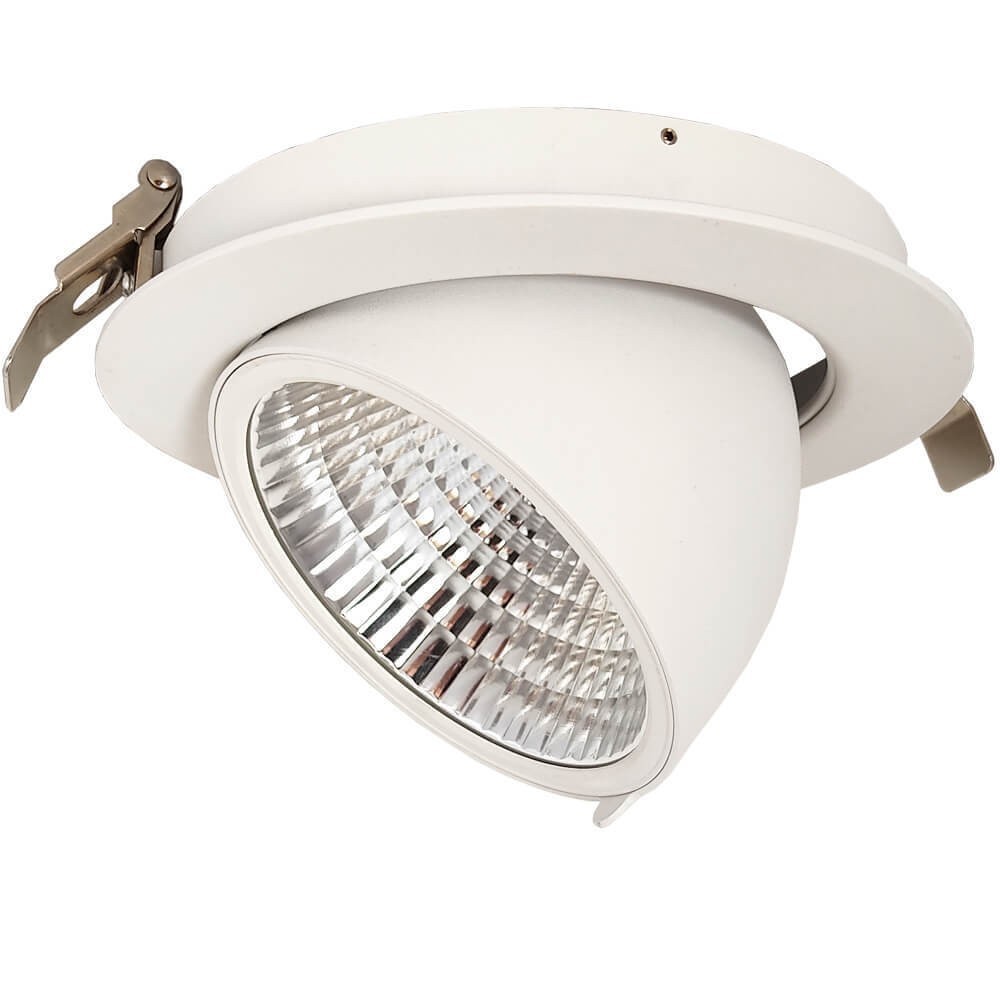 LED Einbaustrahler 30W Philips - CertaDrive - Schwenkbar Rund 25W 